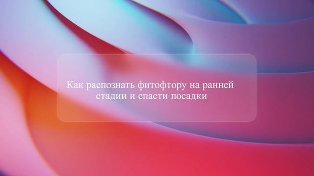 Как распознать фитофтору на ранней стадии и спасти посадки