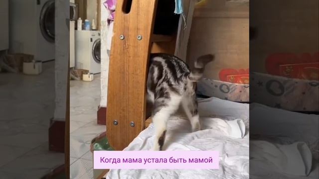 мама устала быть мамой