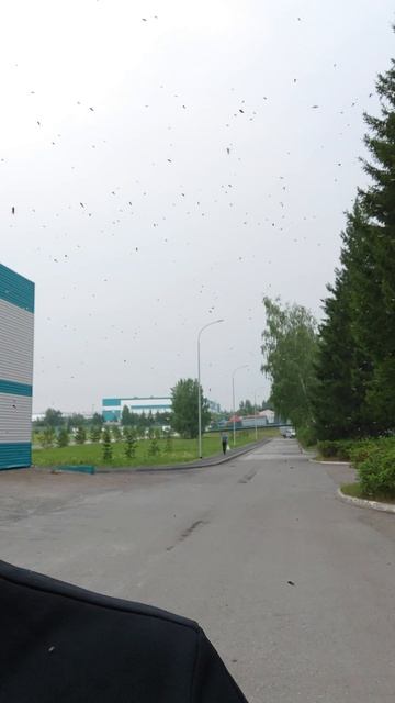 31нии минуты покоя