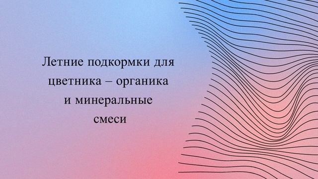 Летние подкормки для цветника – органика и минеральные смеси