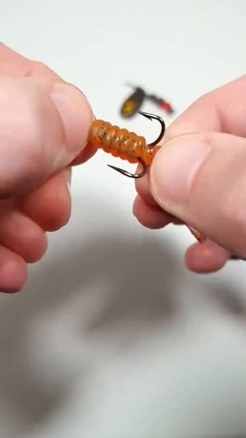 1000072531.mp4