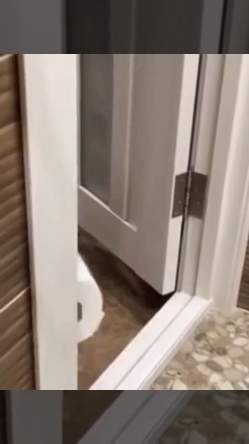 после этого и жениться не надо