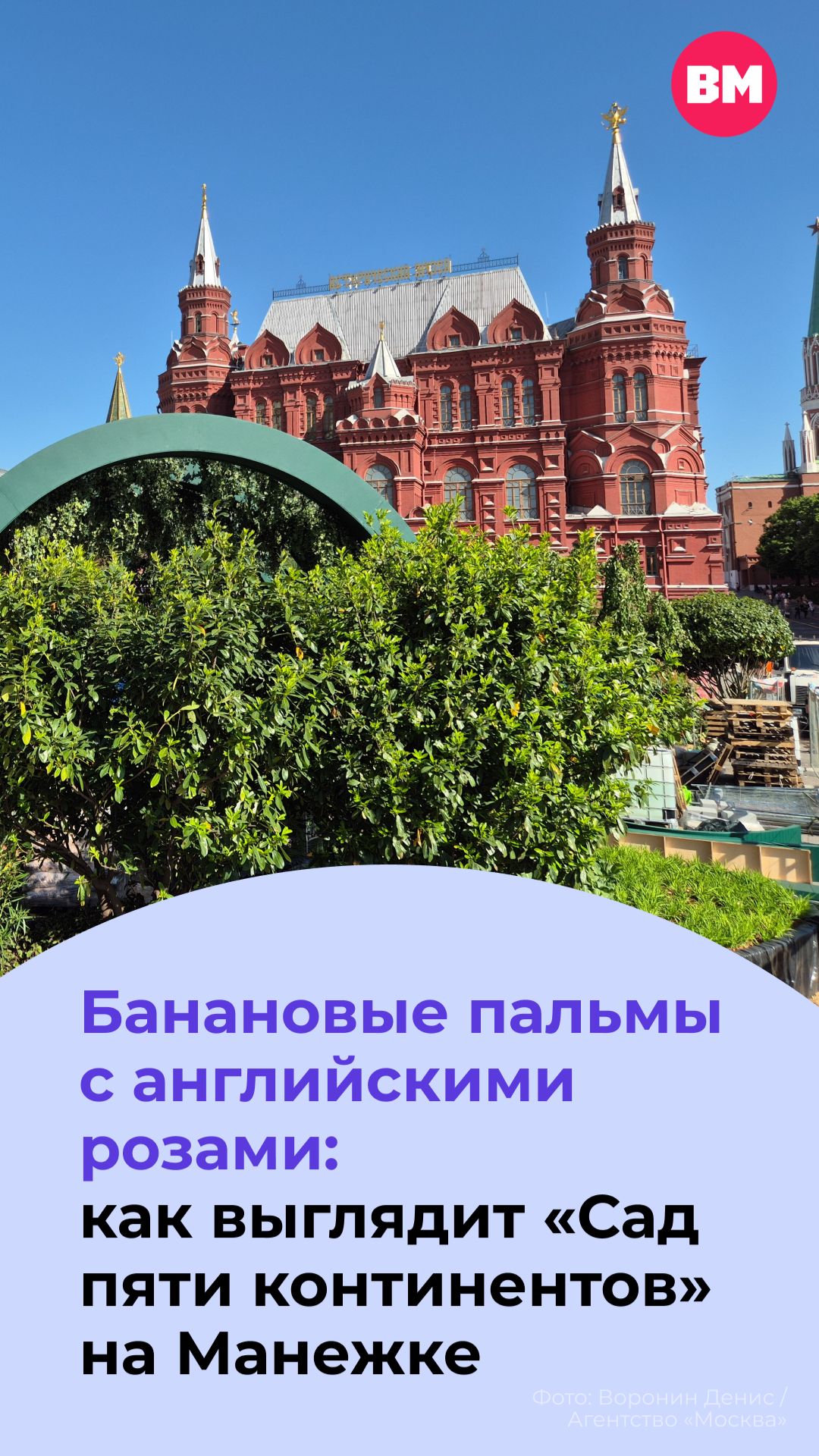 Банановые пальмы с английскими розами: как выглядит «Сад пяти континентов» // Вечерняя Москва