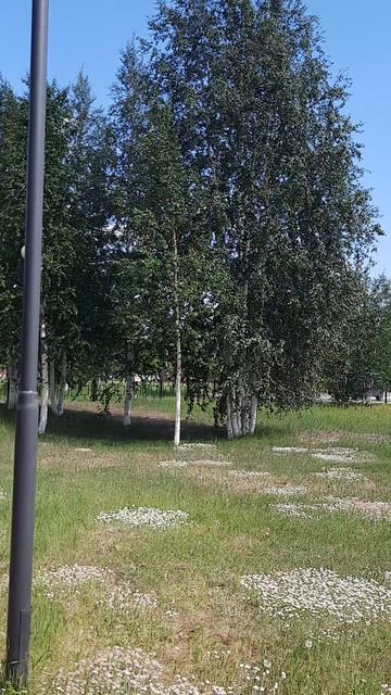 НАСЛАЖДЕНИЕ
