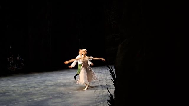 Выпускной МГАХ. 04.06.2026. Па де де из балета «Сильфида»