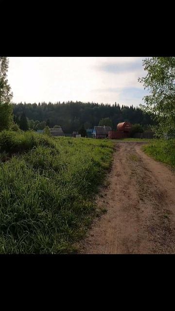 «Летний драйв»