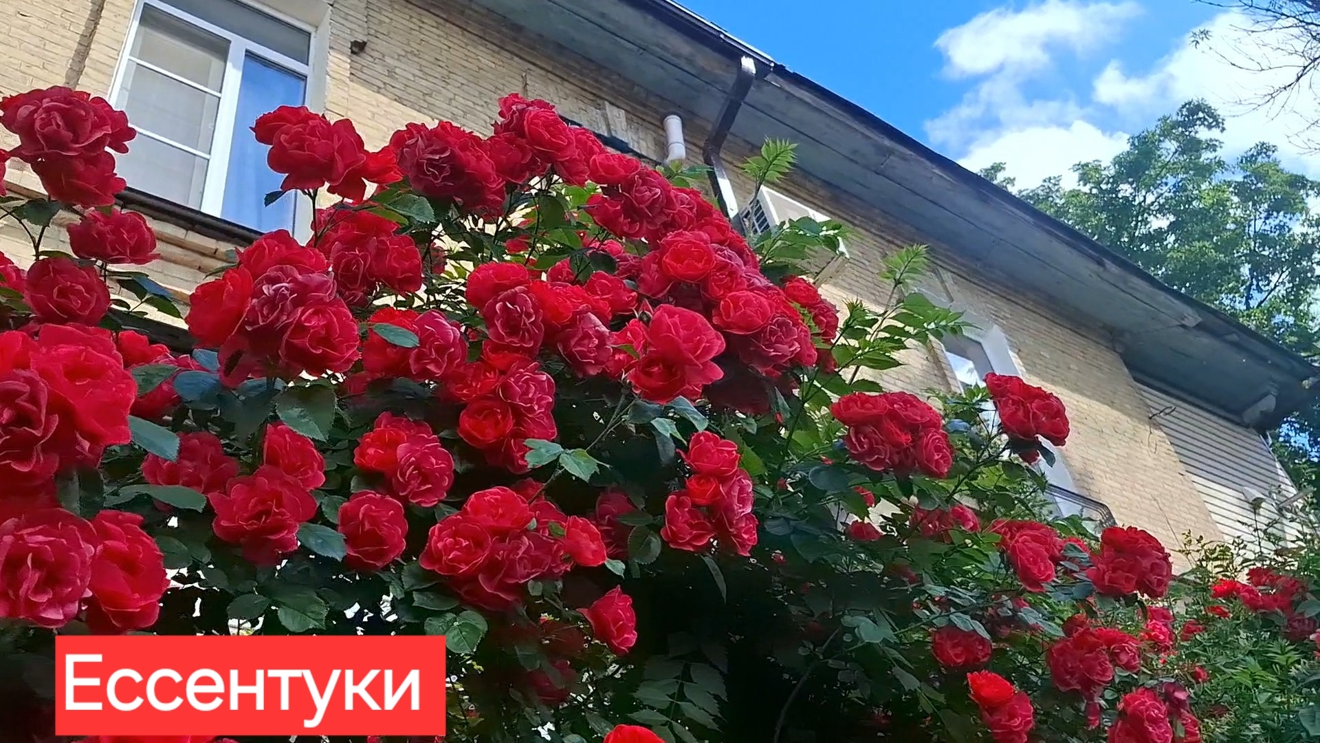 Ессентуки старый дворик на Фрунзе - Садовой 15-06-2026