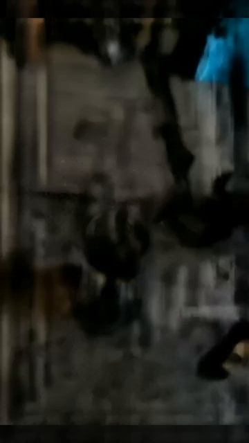 Получилось довольно забавно