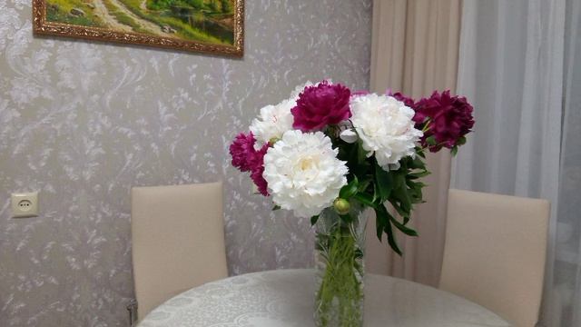 📢Сиреноголовый 📢Проходит мимо цветов, х и я знаю почему возле них 👩🦰👩❤️💋👩