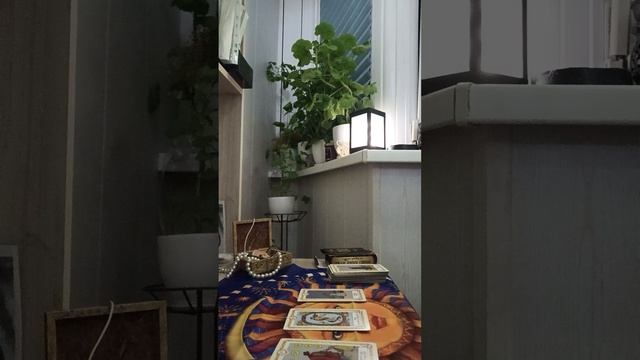 Карта дня