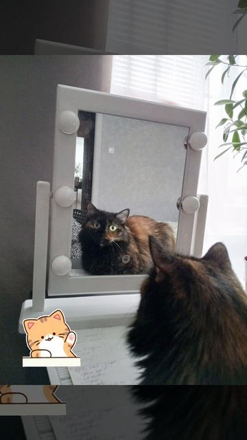 Красотка Шелли смотрит в зеркало