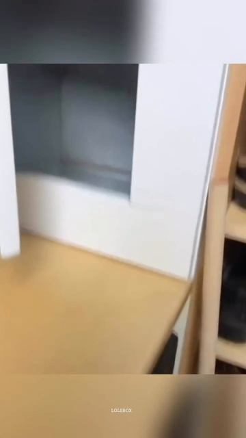Camera-Shy Cats, Flying Felines & Cats With Something To Say