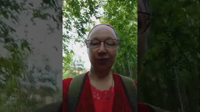 М.935)) Верность и забота Бога.