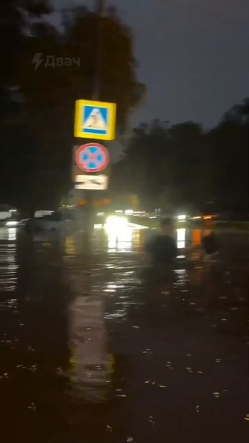 Москву подтопило! 😱 Люди на сапах и автобусы-амфибии