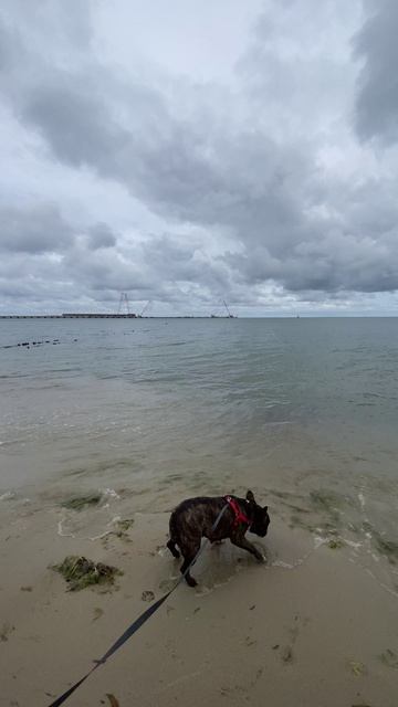 Прилетели сегодня ночью с Бейлис на моря 🌊