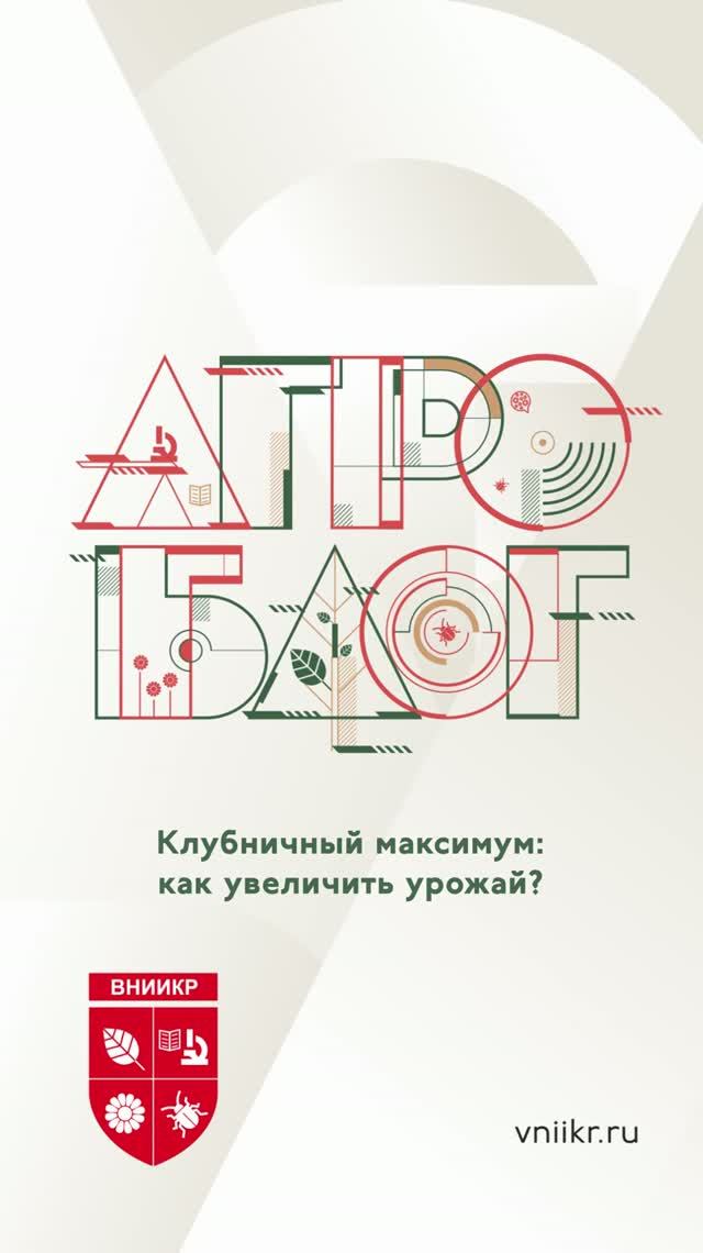 Клубничный максимум: как увеличить урожай