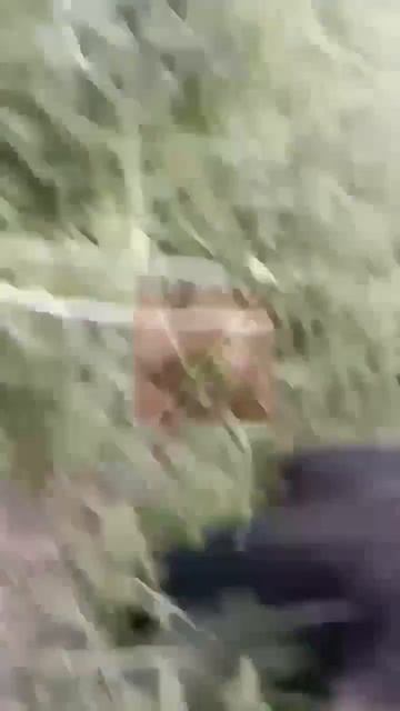 Действительно перепил, это когда на утро после рыбалки находишь в телефоне вот такое видео😁😂🤣