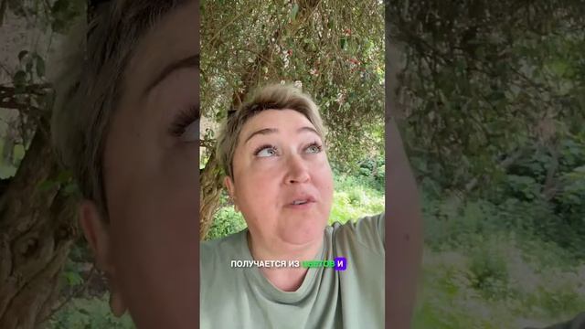 Фейхоа — скрытая роскошь для кожи и нервной системы. Психология ароматов #ароматерапия  #ириналита