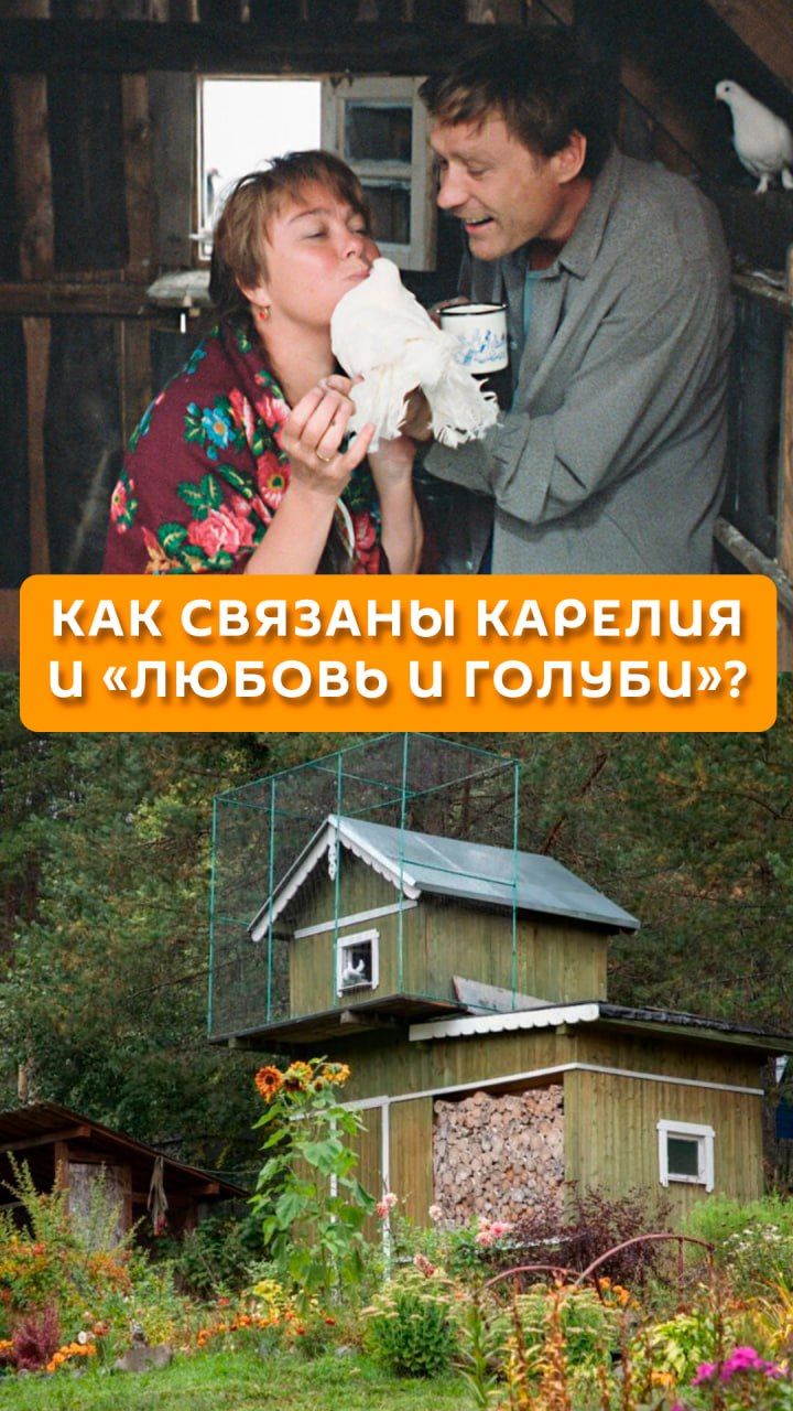 Как связаны Карелия и 