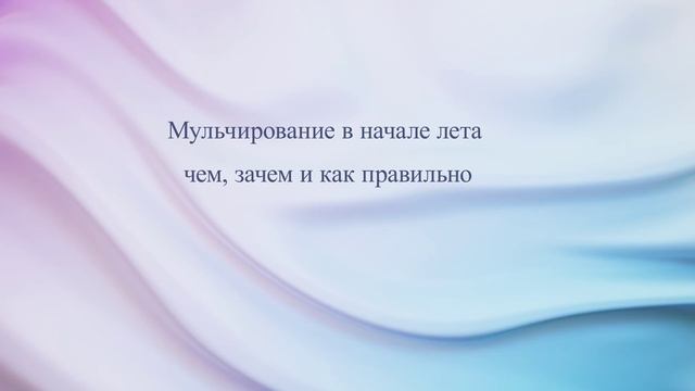 Мульчирование в начале лета: чем, зачем и как правильно