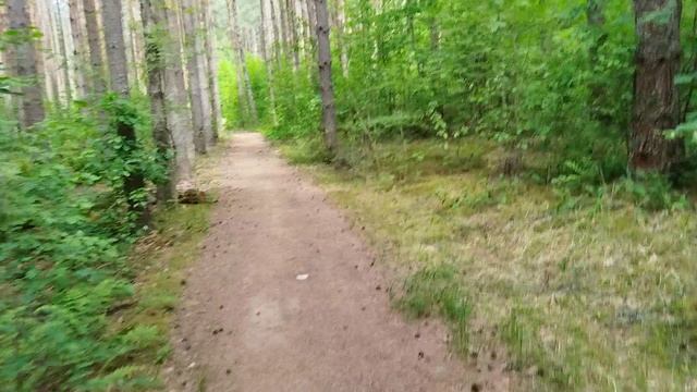 Лето 15.06.26