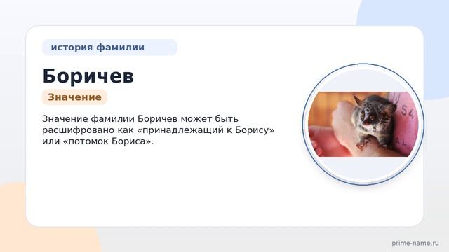 Фамилия Боричев: происхождение, значение и склонение