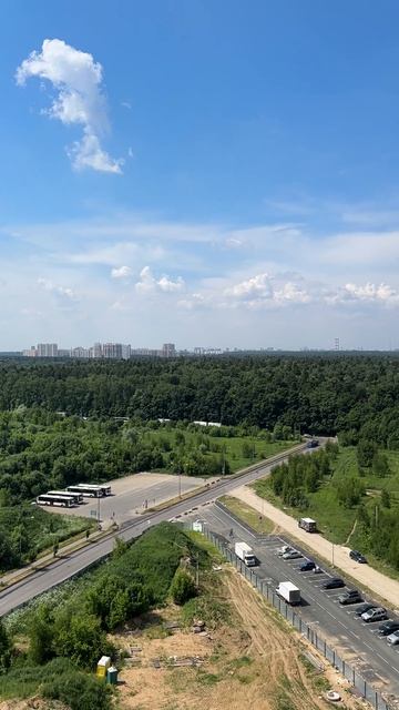 Алексеевская роща вид с 17 этажа