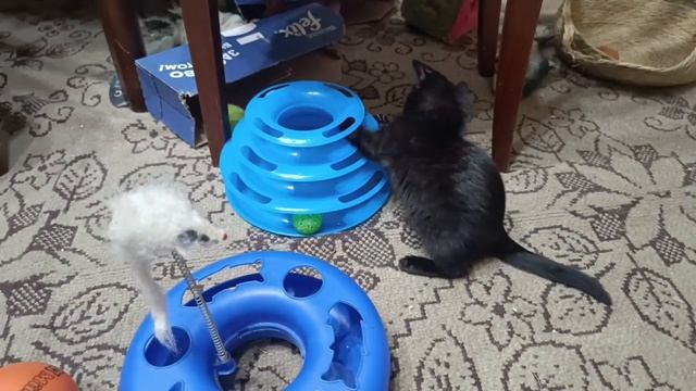 Вечерние игры малышей 🥳 Выбирайте себе друга...