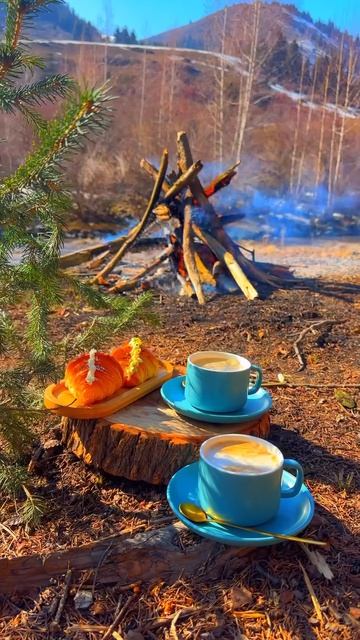 Уютный завтрак на природе 😍☕️