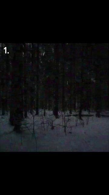 На каком фото тебе стало не по себе? Часть 5