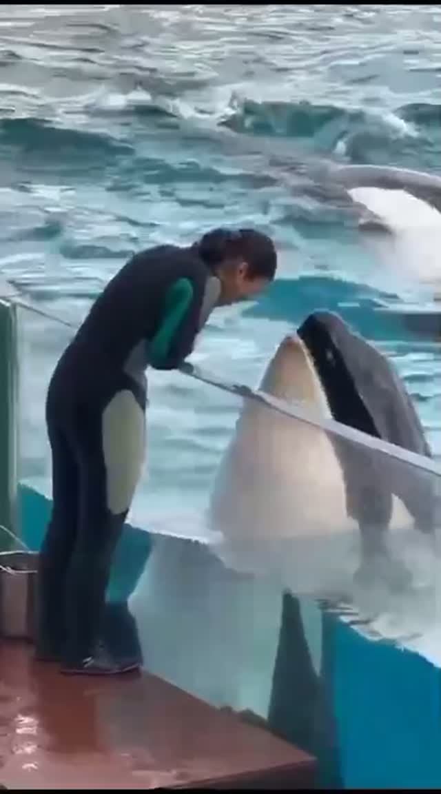 ЧТО ТАКОЕ ЛЮБОВЬ ...