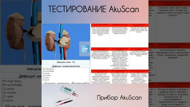 Тестирование AkuScan