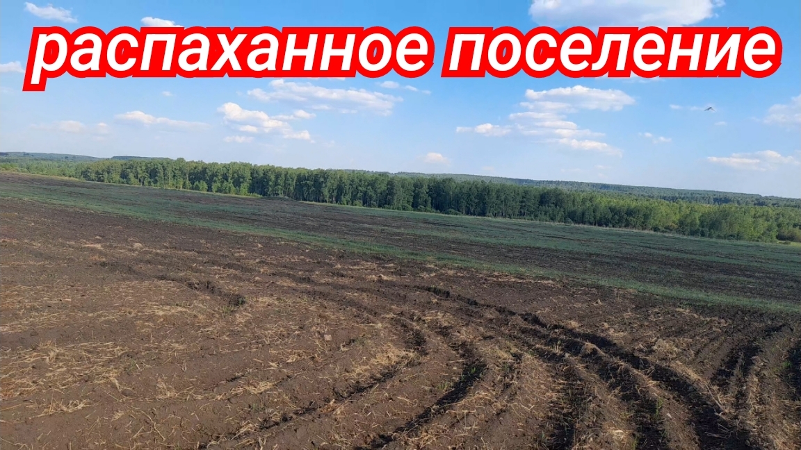 Еду на самое дальнее урочище поиск монет