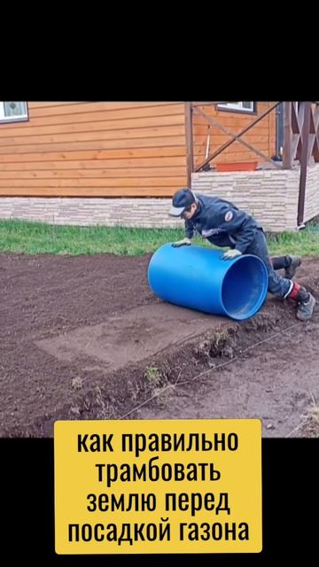 правильная трамбовка перед посадкой газона