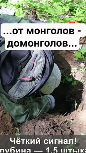 По наводке от монголов-домонголов