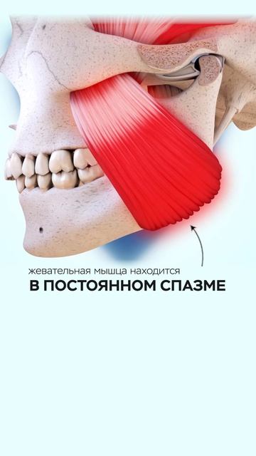 Если после лечения у невролога головная боль возвращается снова и снова, возможно, Вы ищете не там