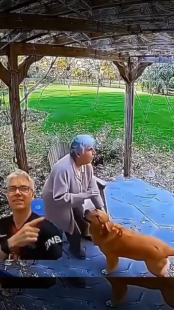 Собаки спасают людей