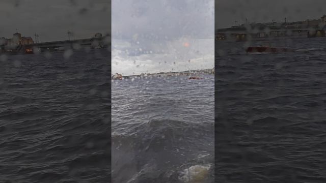 Прогулка на теплоходе по Неве.