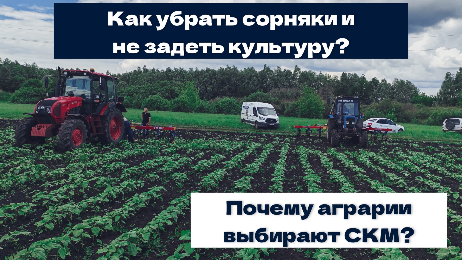Сорнякам не оставили шансов | СКМ Cobalt в работе