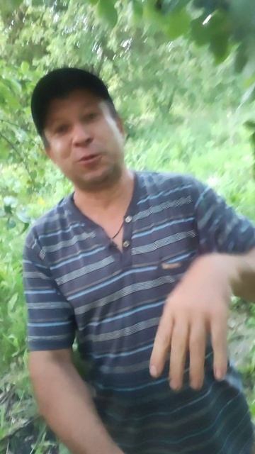 Застряла бутылка в колесе)