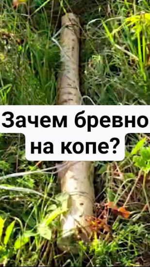 Когда ну ооочень копать хочется...