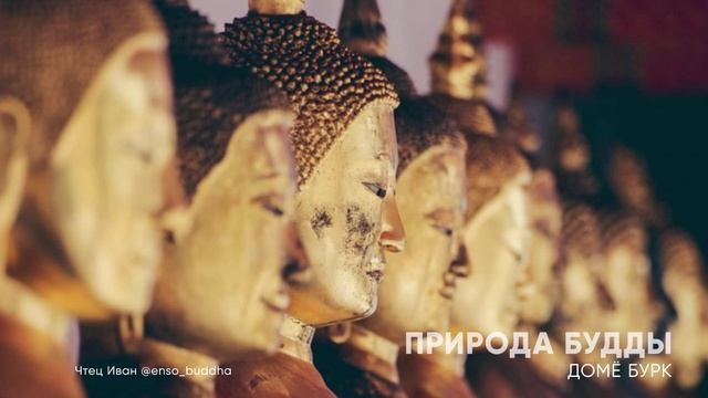 Домё Бурк Природа Будды
