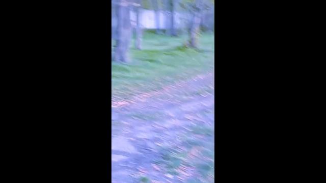 станция