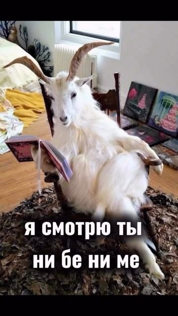 Главная цель — застрять там, куда другие побоялись ехать😎