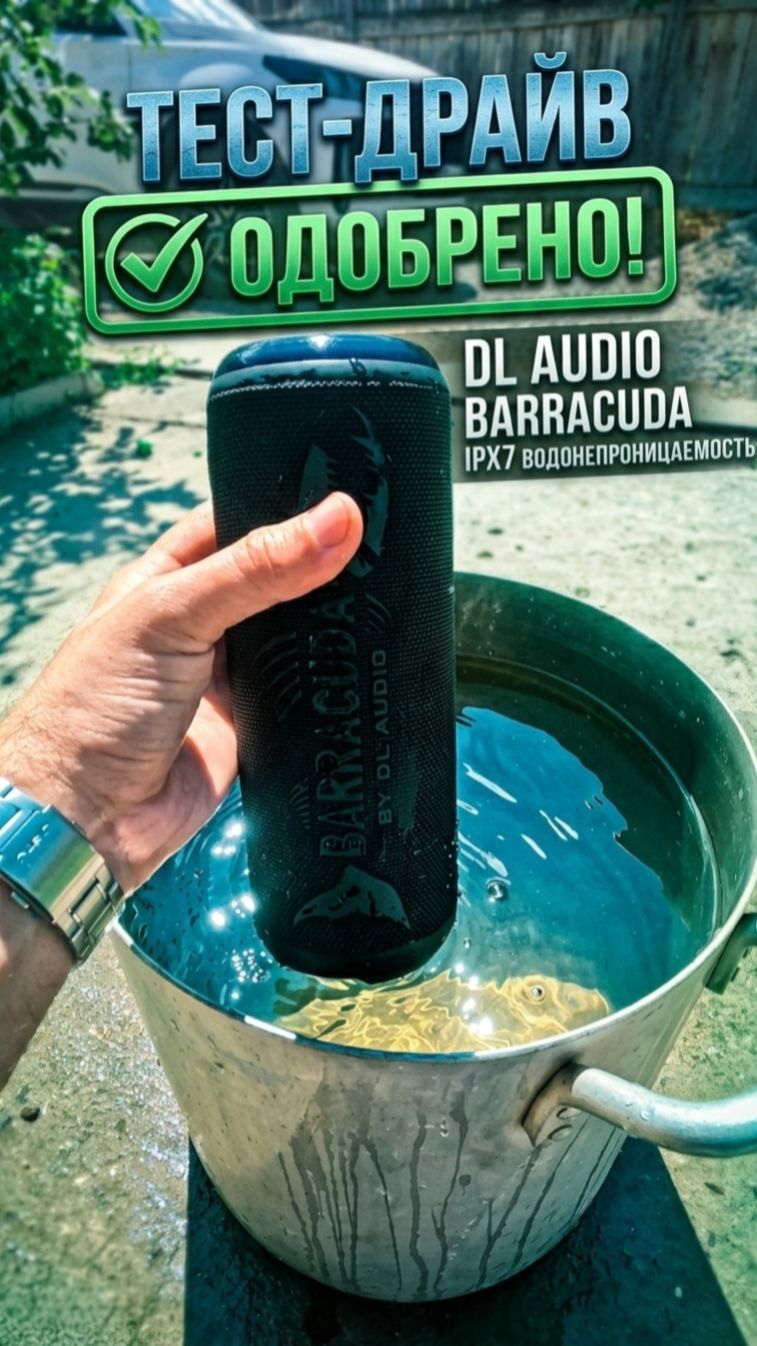 тест драйв убийцы JBL - DL AUDIO Barracuda Portable Speaker