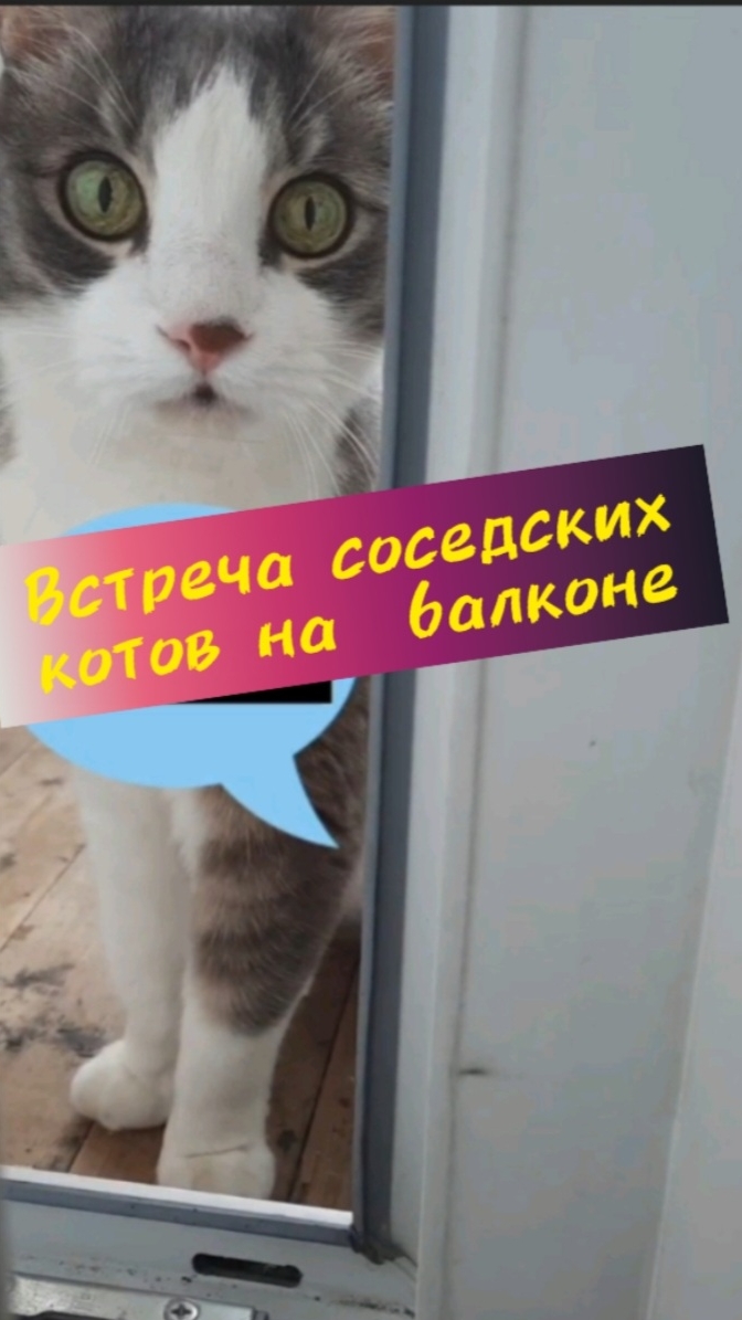 Грустное свидание соседей - Фёдора и Василия на балконе.