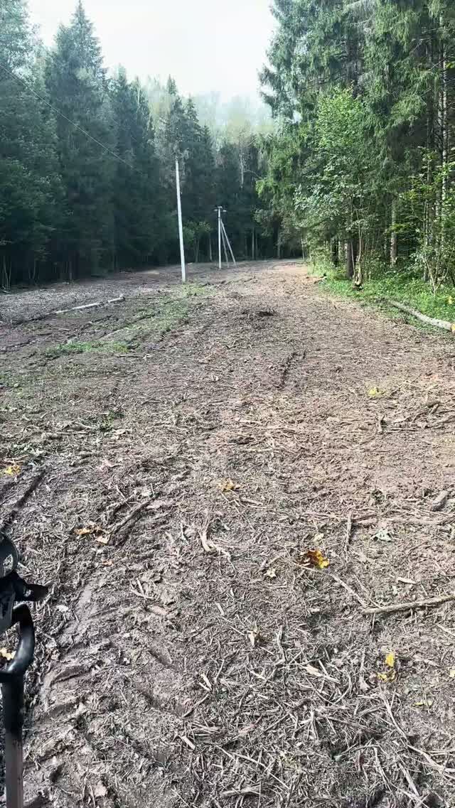 ЛЭП РАСЧИСТИЛИ, НАШЕЛ МЕЧТУ КЛАДОИСКАТЕЛЯ! #metaldetecting #находки #коп #находкисметаллоискателем