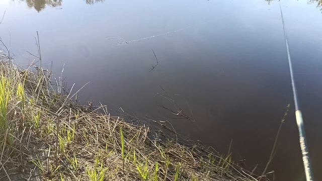 Рыбалка на удочку
