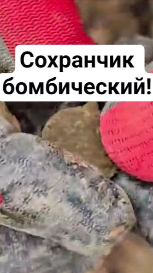 Сохранчик бомбический!
