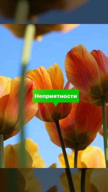 Если у вас неприятности